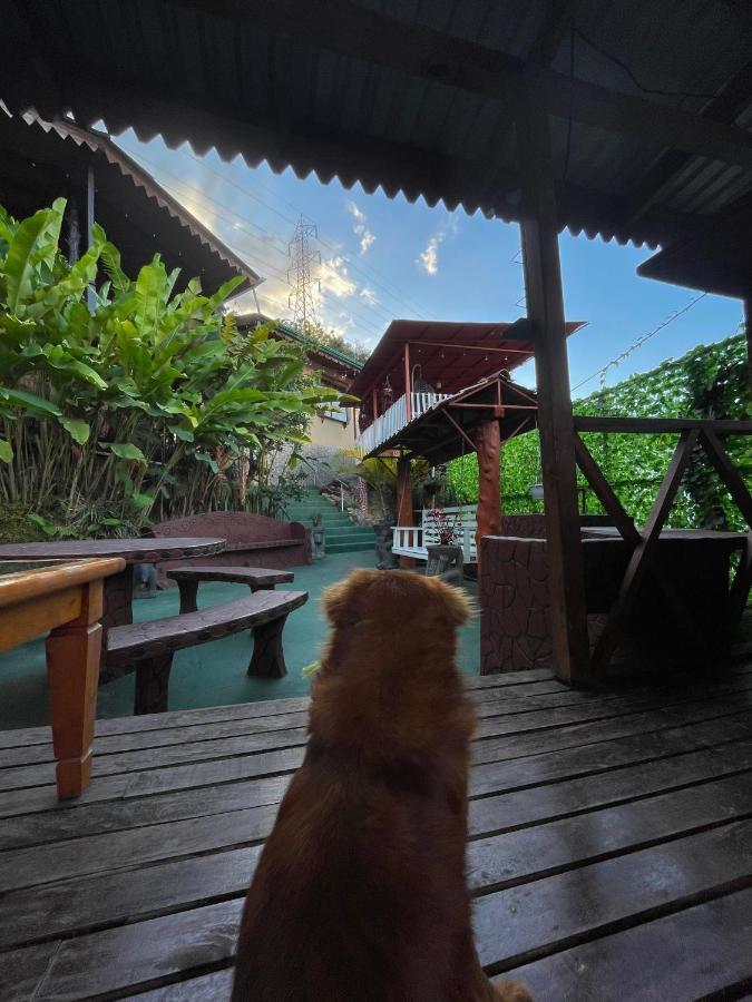 Dreams Lodge Orosi カルタゴ エクステリア 写真